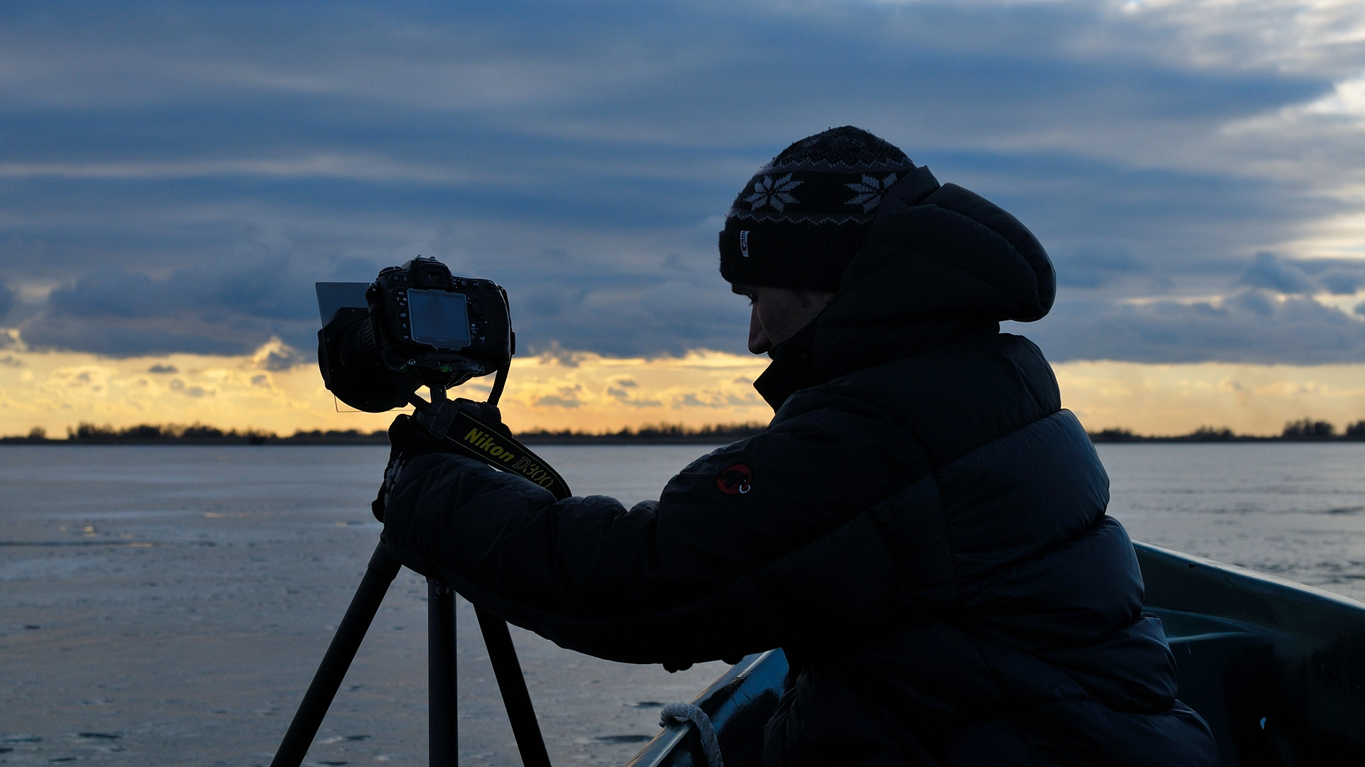 iarna in delta dunarii