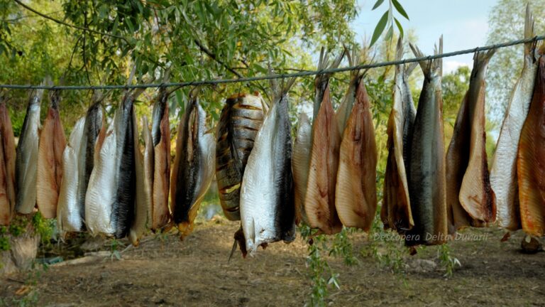 Peste sarat in Delta Dunarii