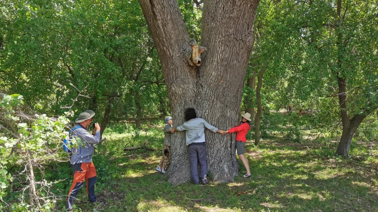 Excursie la Padurea Letea